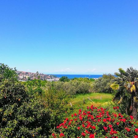 קופר Peaceful View Apartment מראה חיצוני תמונה