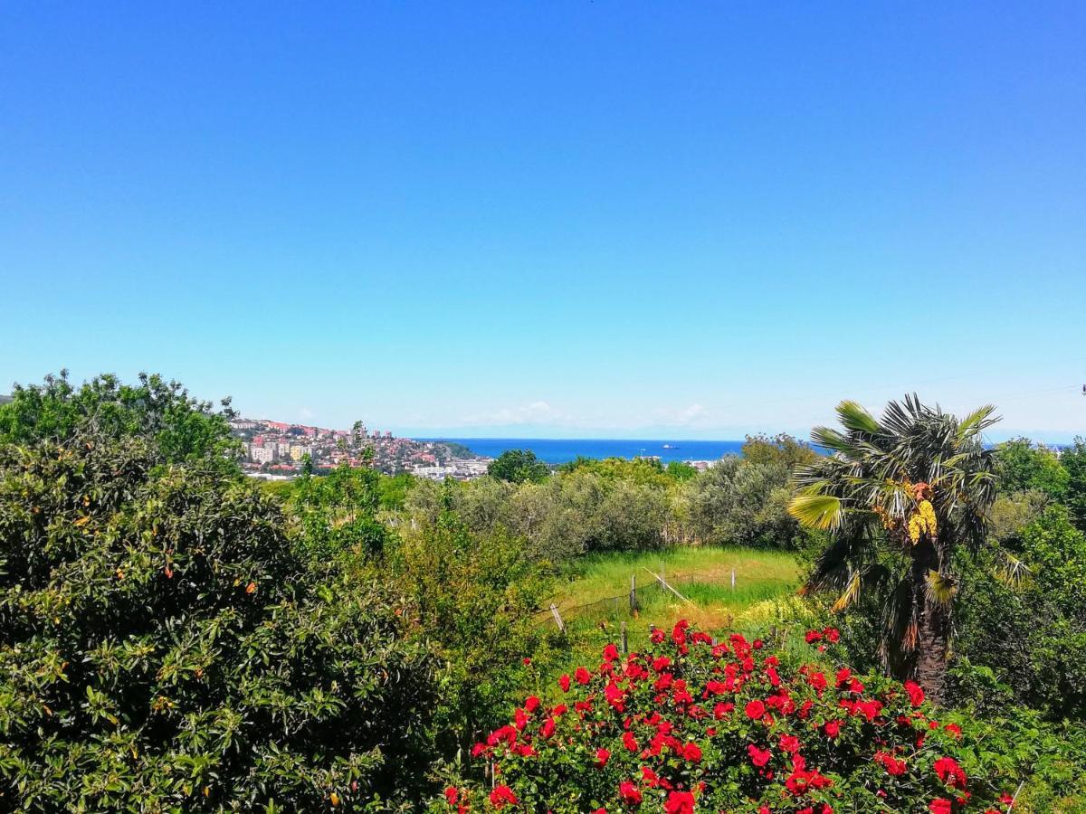 קופר Peaceful View Apartment מראה חיצוני תמונה