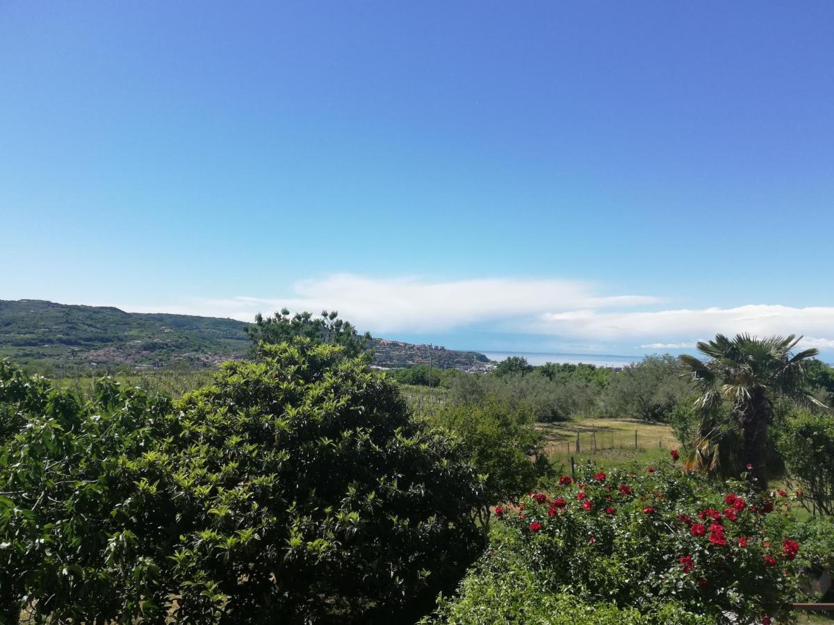 קופר Peaceful View Apartment מראה חיצוני תמונה