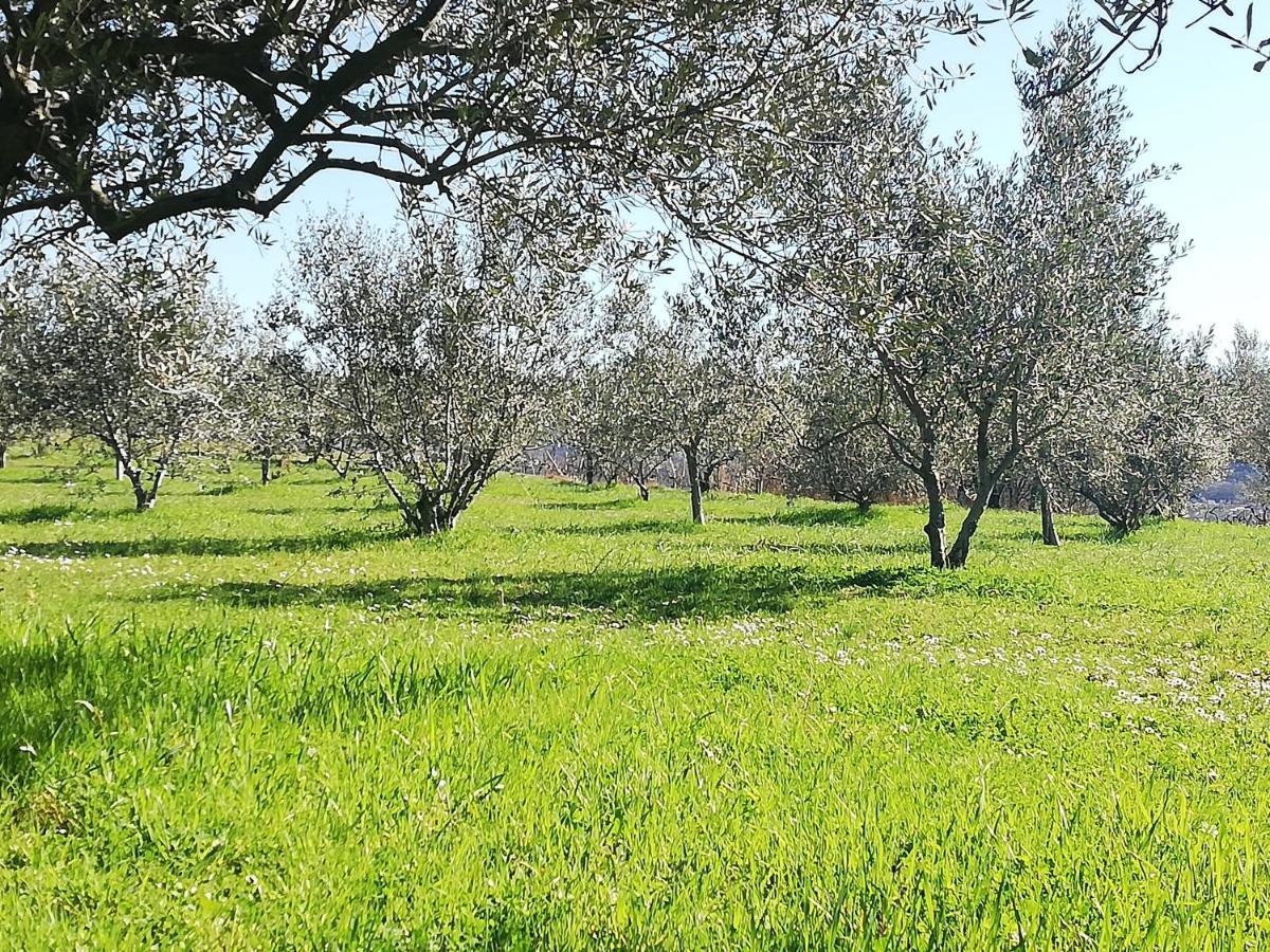 קופר Peaceful View Apartment מראה חיצוני תמונה