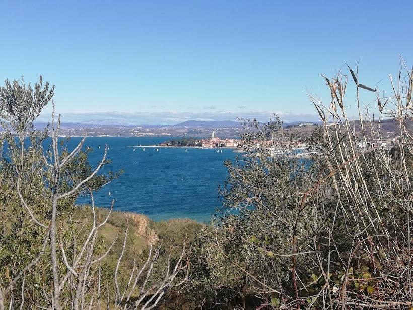 קופר Peaceful View Apartment מראה חיצוני תמונה