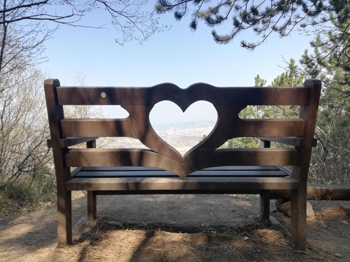 קופר Peaceful View Apartment מראה חיצוני תמונה