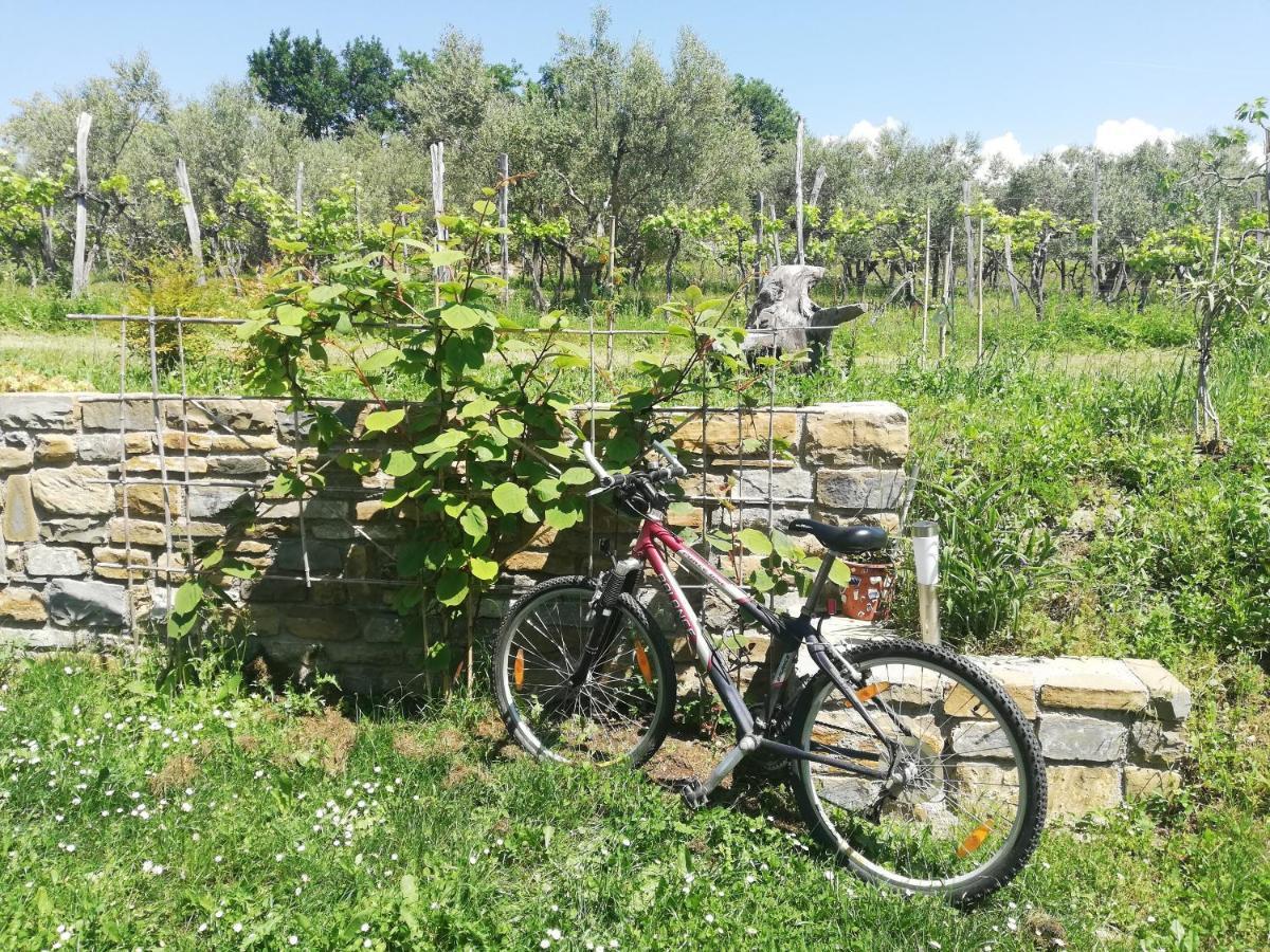 קופר Peaceful View Apartment מראה חיצוני תמונה