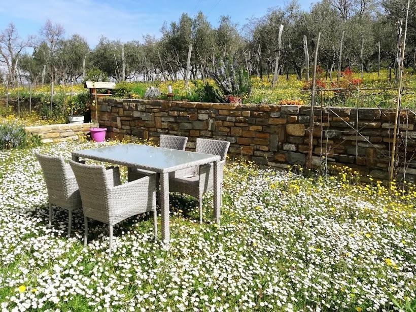קופר Peaceful View Apartment מראה חיצוני תמונה