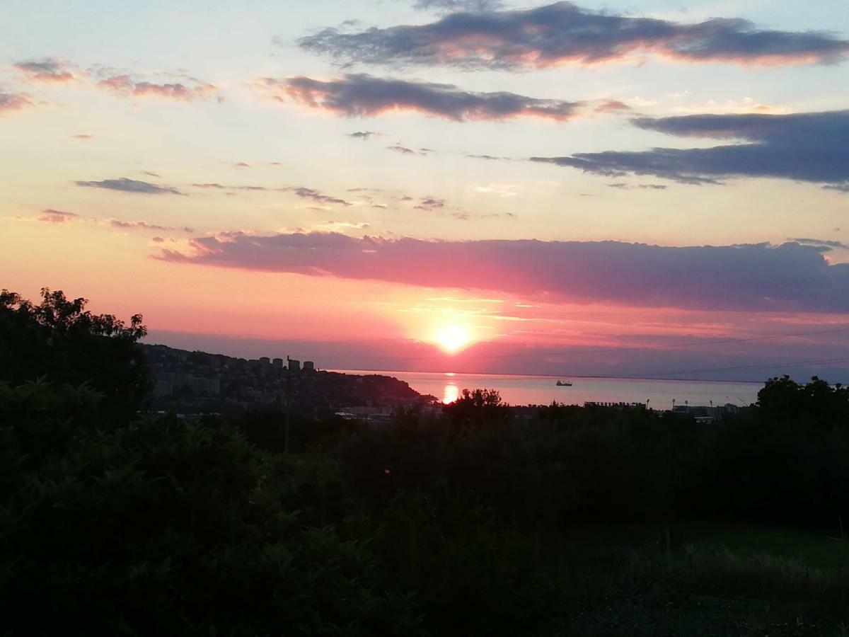קופר Peaceful View Apartment מראה חיצוני תמונה