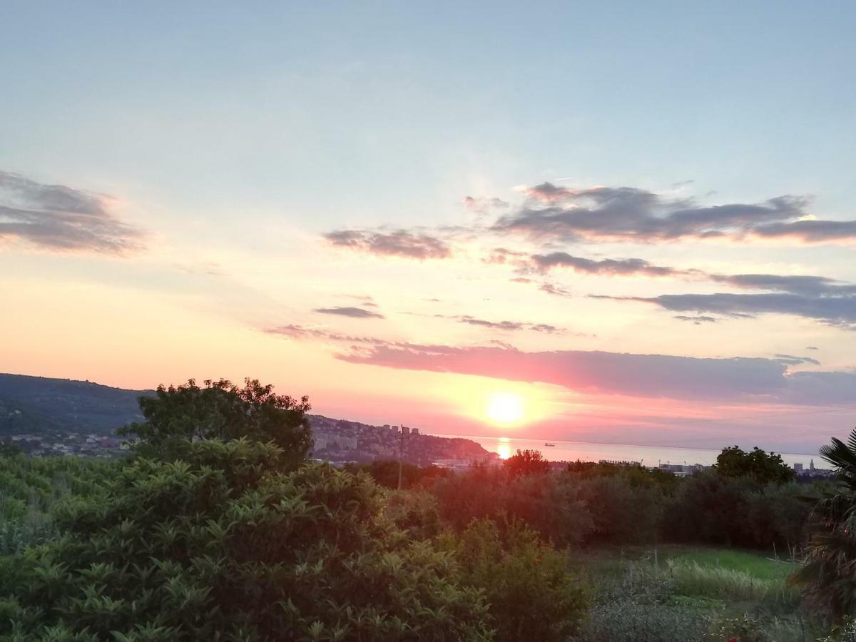 קופר Peaceful View Apartment מראה חיצוני תמונה